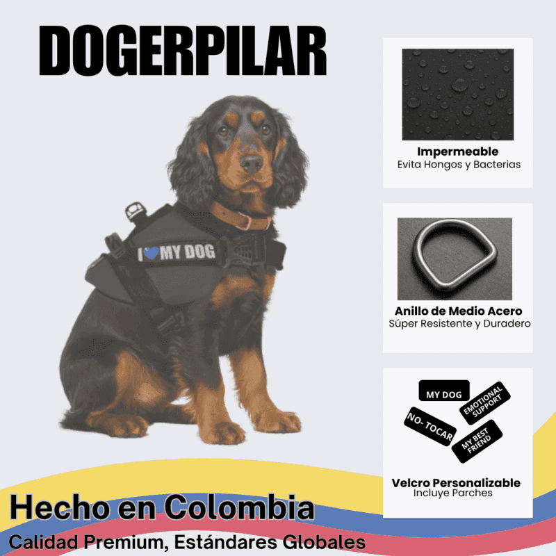 0df795a565e2cd9c3c8d36346f5af5dd_1776979709.png