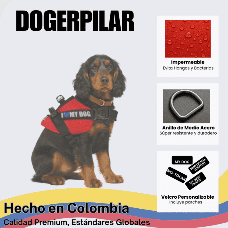 607d9703e2c198a06b8a3909e14cf755_1776975531.png