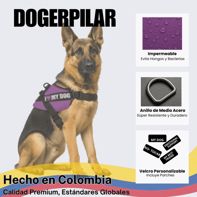 93cc3233bea2ae17e6c2586c6866a65a_1776981090.png