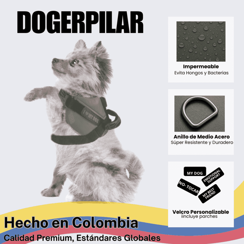bce1cf9d0195ab65c71e310006b5366a_1776979559.png