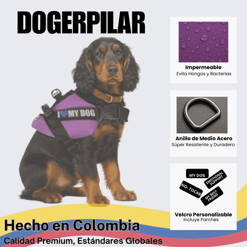 cbf37b0bfa2a1a22a955c5c04a2b3afc_1777314459.png