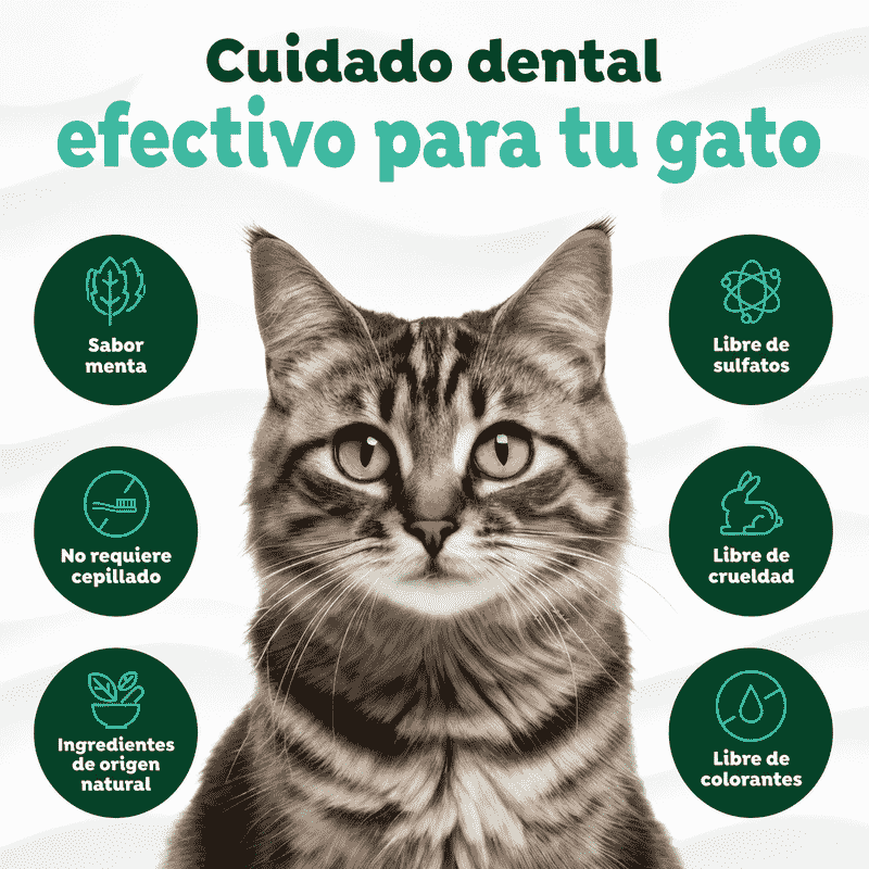 da13a1fee268d2151714043fe5c4d721_1784825674.png