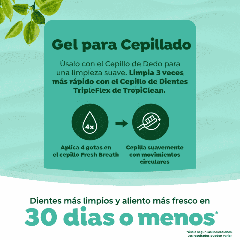 f0c32e59f8a4de8670c4585e7710ffd1_1784826010.png