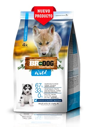 1_3203_BR_FOR_DOG_WILD_PUPPIES___300X424.jpg