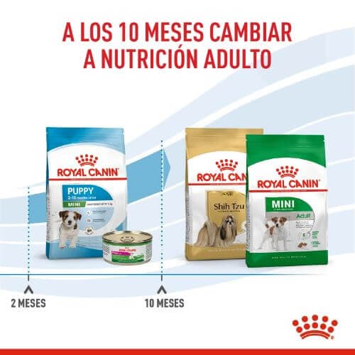 17793_173901_Royal_Canin_Mini_Puppy_1658782207_500x500.jpg