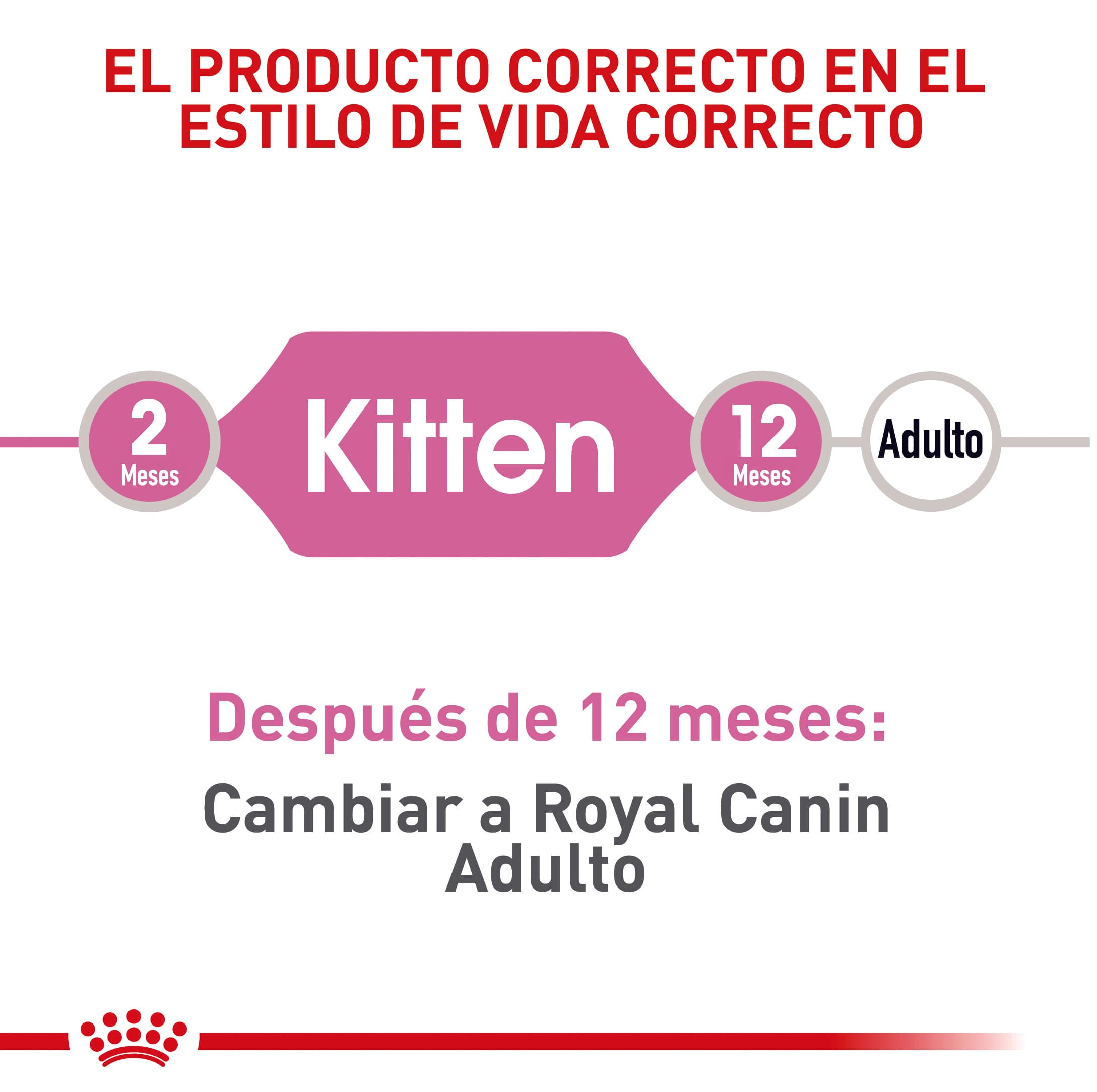 3622_63760_Royal_Canin_Fhn_Kitten_1616648331_2177x2168.jpg