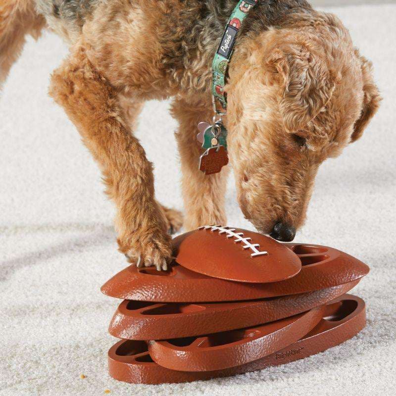 43a4d7b34570aab48e9eae62e46da782_1696265839.jpg