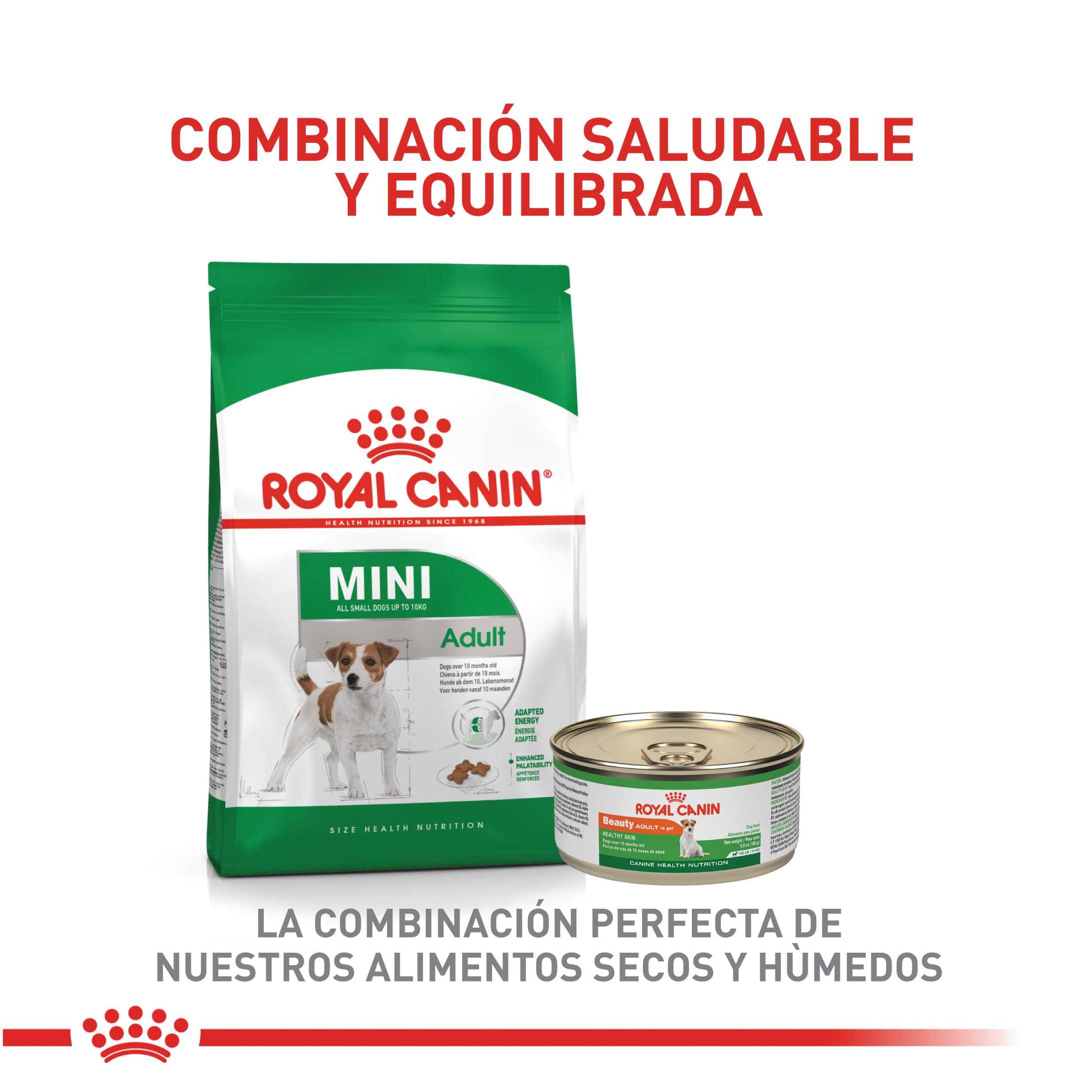 459_62322_Royal_Canin_Mini_Adulto_1616619960_2186x2187.jpg