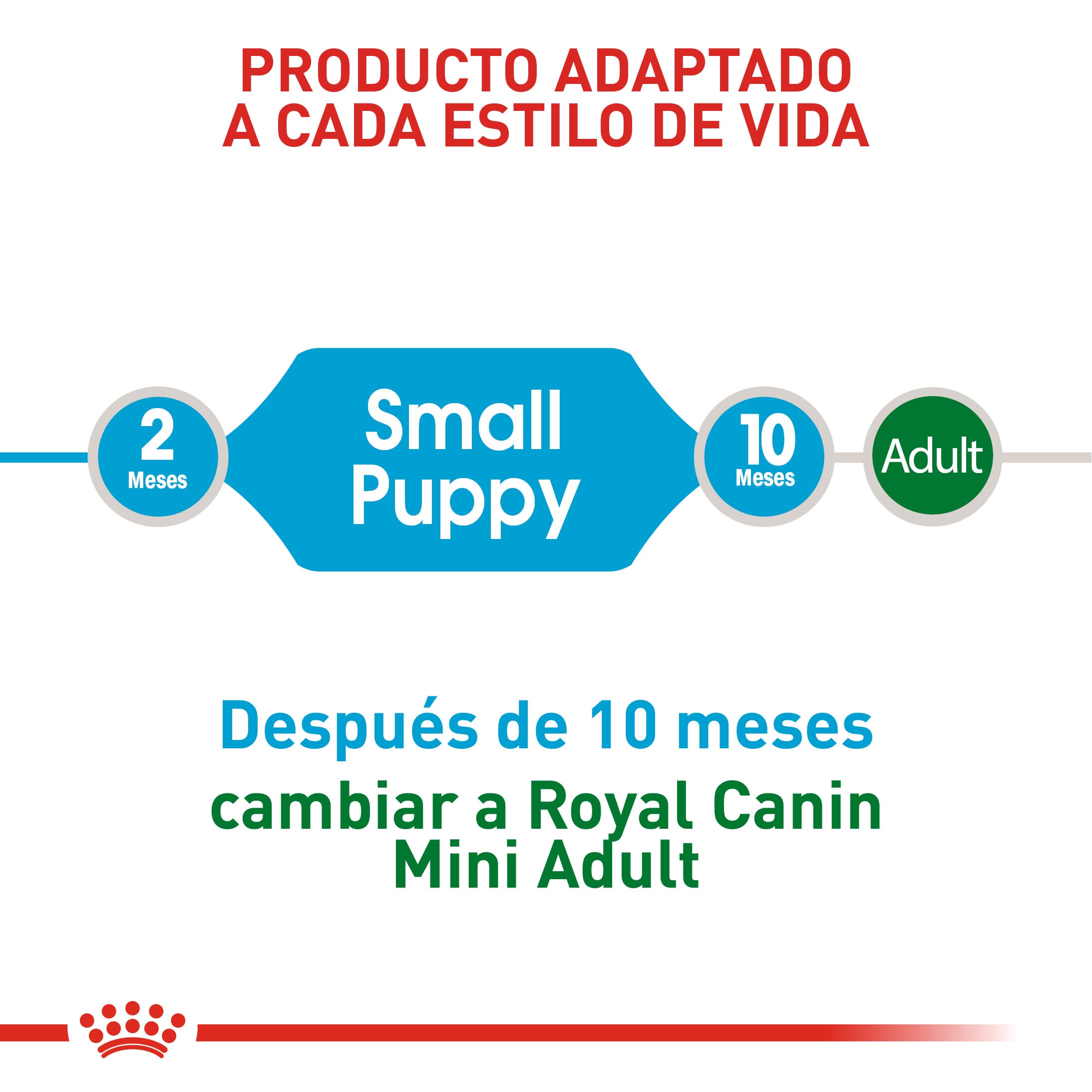 532_62176_Royal_Canin_Mini_Puppy_1616616371_2187x2186.jpg