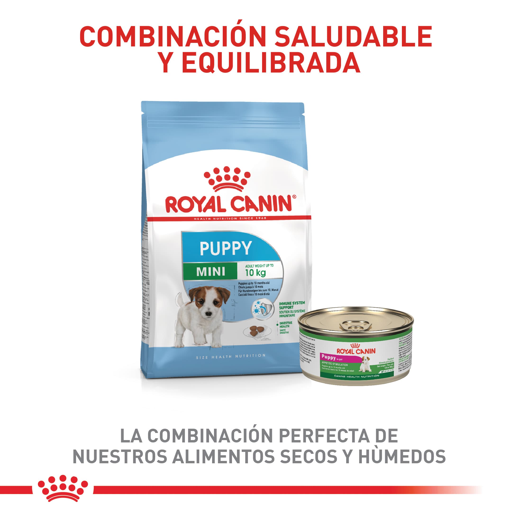 532_62179_Royal_Canin_Mini_Puppy_1616616371_2186x2187.jpg