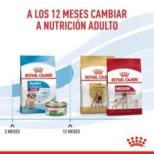 539_173482_Royal_Canin_Medium_Puppy_1658771488_500x500.jpg