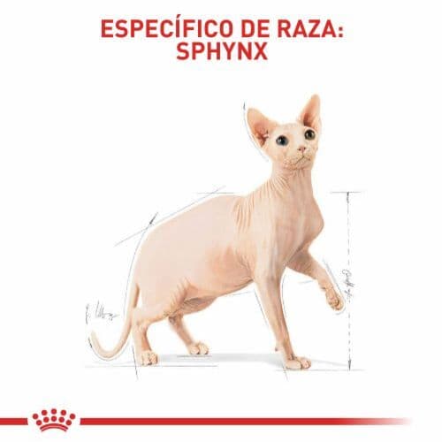 78523_Royal_Canin___Sphynx_Adulto_1652284540_3_500x500.jpg