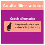 whiskas-alimento-humedo-gatos-salmon