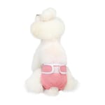 valentin-for-pets-panty-panal-absorbente-rosa