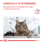 royal-canin-feline-vdf-hepatic-cat