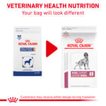 royal-canin-renal-support-s-dog