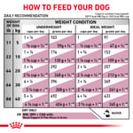 royal-canin-renal-support-s-dog