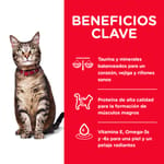 hills-science-diet-adult-alimento-para-gato-adultoto
