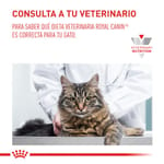 royal-canin-vhn-gastro-intestinal-moderate-calories-gato