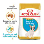 royal-canin-bulldog-frances-puppy