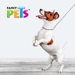 fancy-pets-collar-de-entrenamiento