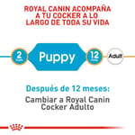 royal-canin-cocker-puppy