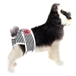 valentin-for-pets-panty-panal-lavable-negro-blanco