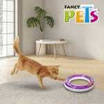 fancy-pets-circuito-play-juguete-para-gato