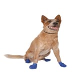 flipsdogs-flips-dogs-zapatos-para-perro
