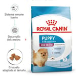 royal-canin-mini-indoor-puppy