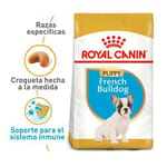 royal-canin-bulldog-ingles-puppy