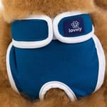 valentin-for-pets-panty-panal-lavable-azul