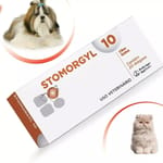 stomorgyl-10-antibiotico