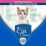 cat-chow-gatitos-pollo