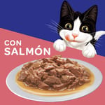felix-classic-con-salmon