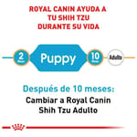 royal-canin-shih-tzu-cachorro