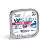 monge-vetsolution-recovery-feline