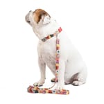 obi-pet-supplies-bicombo-collar-stickers-entrega-en-4-dias-habiles