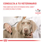 royal-canin-veterinary-gastro-intestinal-junior