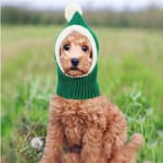 valentin-for-pets-gorro-tejido-navideno-verde-entrega-en-4-dias-habiles