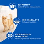 cat-chow-esterilizados-prebioticos