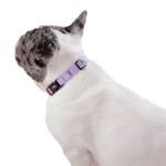 totto-pets-collar-ajustable-perro-mylu-morado