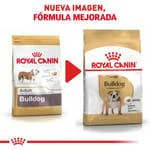 royal-canin-bulldog-ingles-adulto