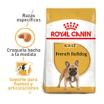 royal-canin-bulldog-frances-adulto
