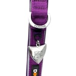 dogness-collar-classic-morado-perro