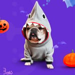 balu-disfraz-mascota-tiburon