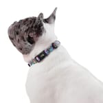 totto-pets-collar-ajustable-perro-mylu-caritas
