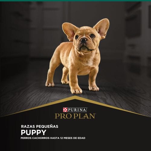 purina-pro-plan-puppy-razas-pequenas