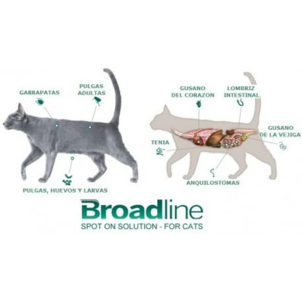 broadline-gatos-de-06-hasta-25-kg