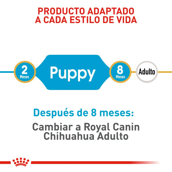 royal-canin-chihuahua-puppy